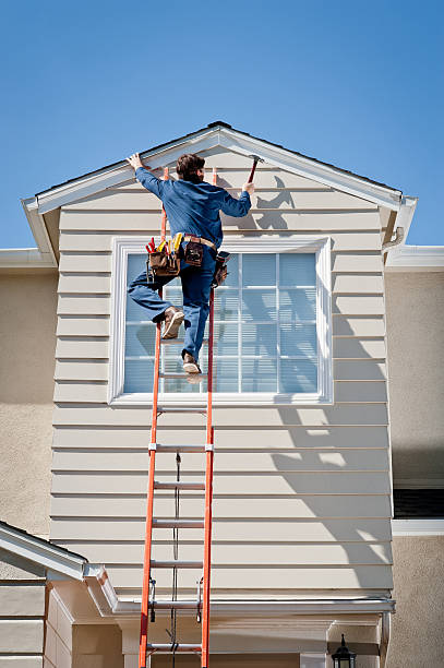 Best Stone Veneer Siding  in Long Neck, DE